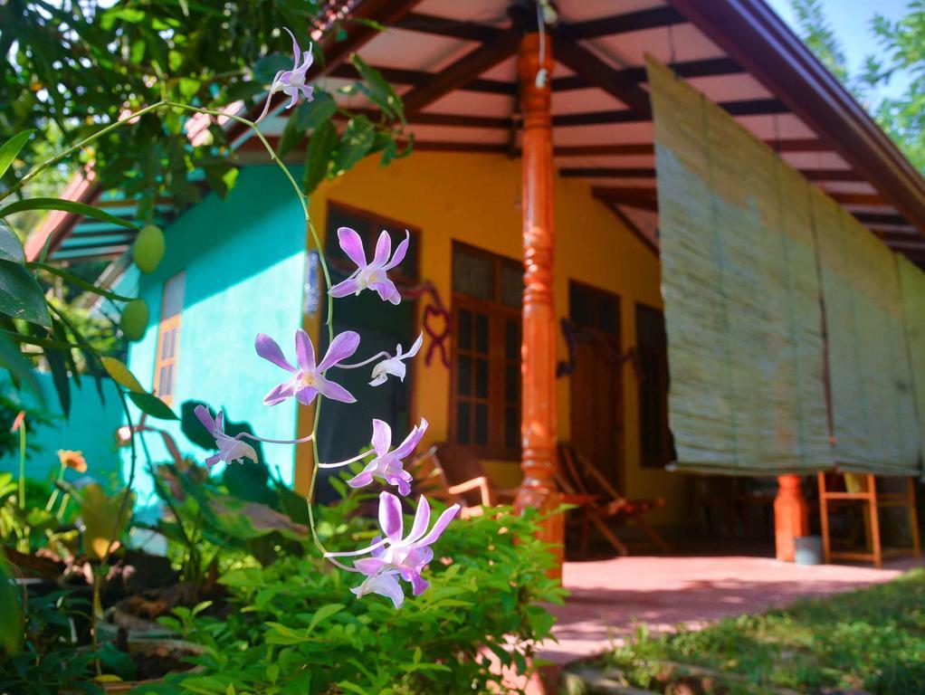 Nethmi Homestay & Restaurant Тангалла Экстерьер фото