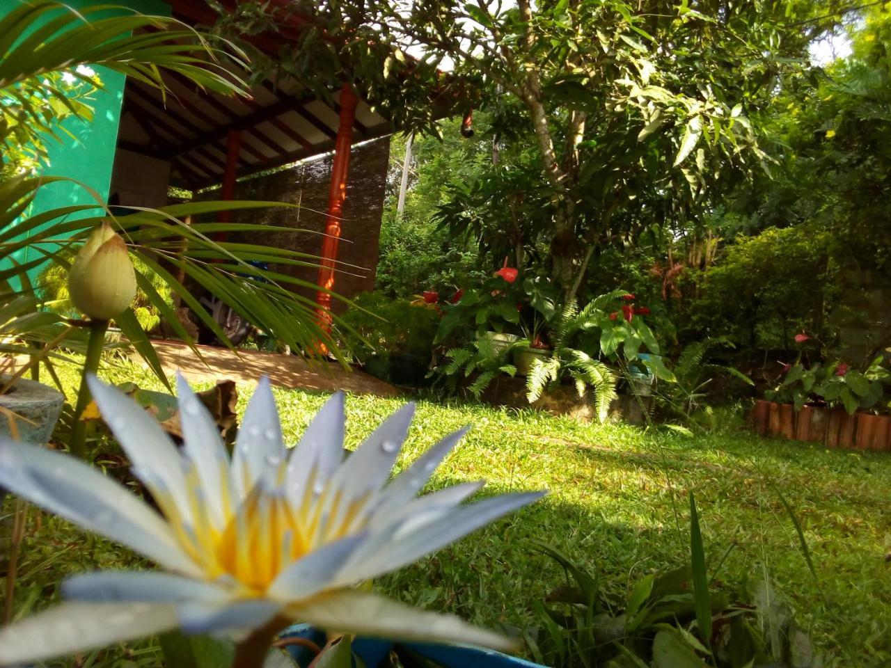 Nethmi Homestay & Restaurant Тангалла Экстерьер фото