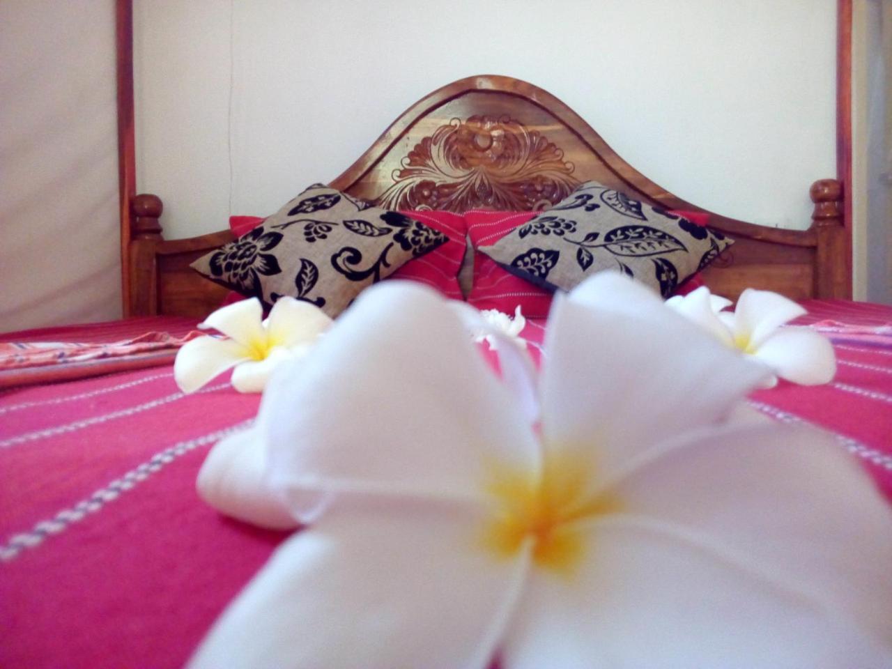 Nethmi Homestay & Restaurant Тангалла Экстерьер фото